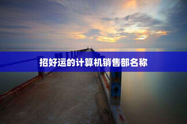 招好运的计算机销售部名称