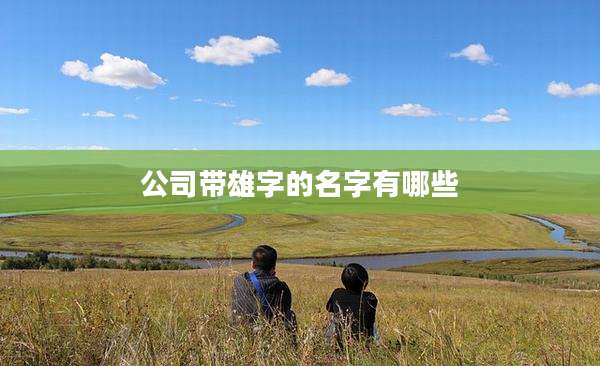 公司带雄字的名字有哪些