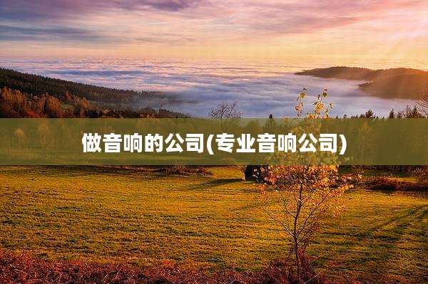 做音响的公司(专业音响公司)