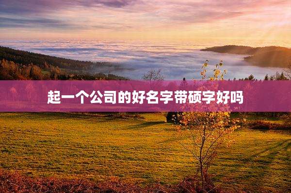 起一个公司的好名字带硕字好吗
