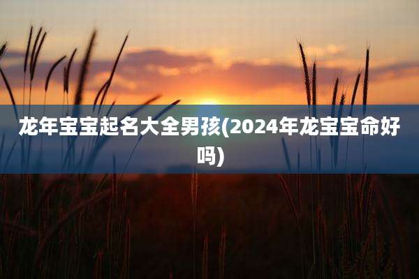 龙年宝宝起名大全男孩(2024年龙宝宝命好吗)