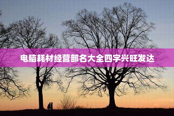 电脑耗材经营部名大全四字兴旺发达