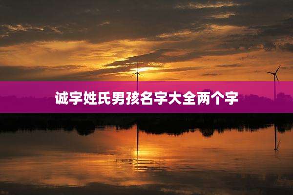 诚字姓氏男孩名字大全两个字