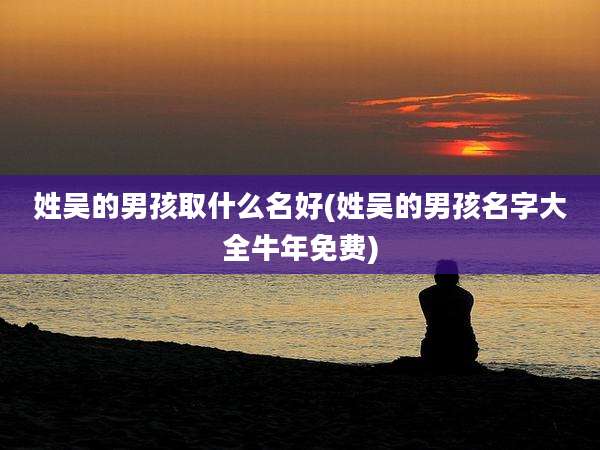 姓吴的男孩取什么名好(姓吴的男孩名字大全牛年免费)