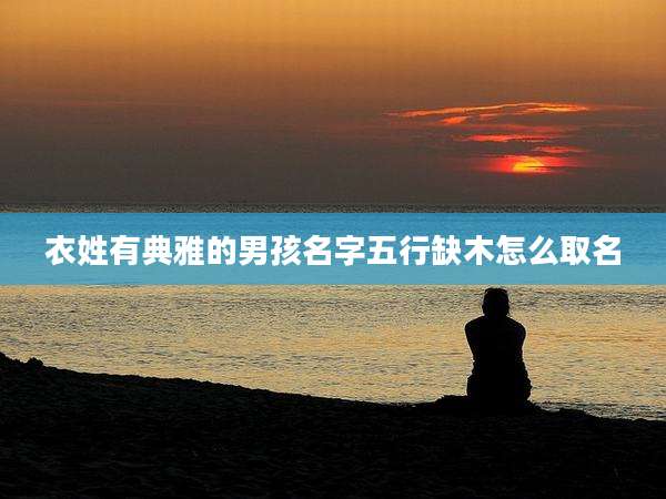衣姓有典雅的男孩名字五行缺木怎么取名