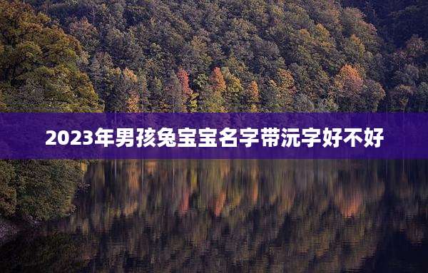 2023年男孩兔宝宝名字带沅字好不好