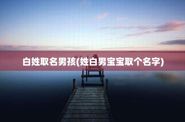 白姓取名男孩(姓白男宝宝取个名字)