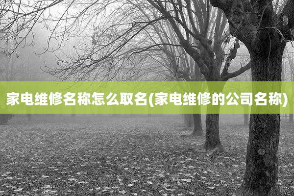 家电维修名称怎么取名(家电维修的公司名称)