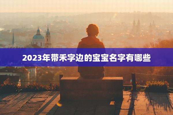 2023年带禾字边的宝宝名字有哪些