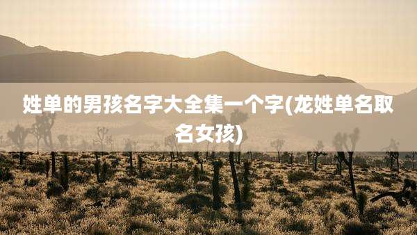姓单的男孩名字大全集一个字(龙姓单名取名女孩)