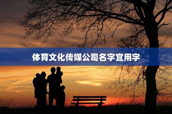 体育文化传媒公司名字宜用字