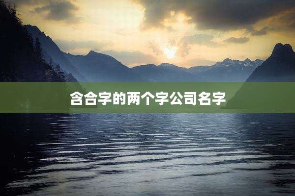 含合字的两个字公司名字