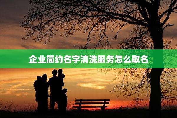 企业简约名字清洗服务怎么取名