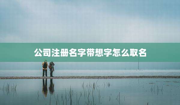 公司注册名字带想字怎么取名