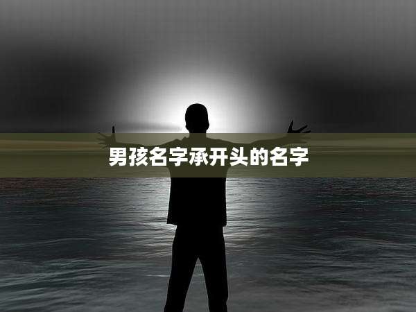 男孩名字承开头的名字