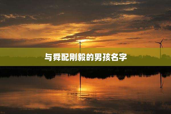 与舜配刚毅的男孩名字
