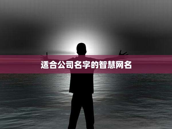 适合公司名字的智慧网名