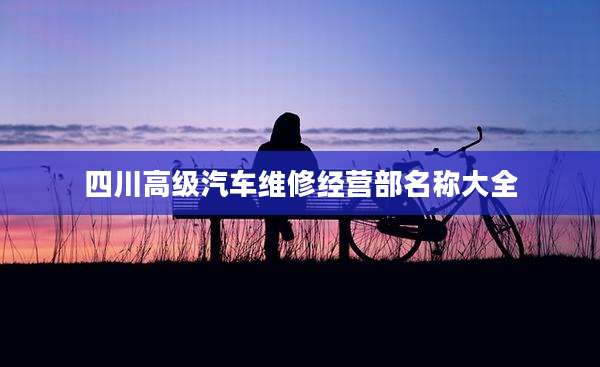 四川高级汽车维修经营部名称大全