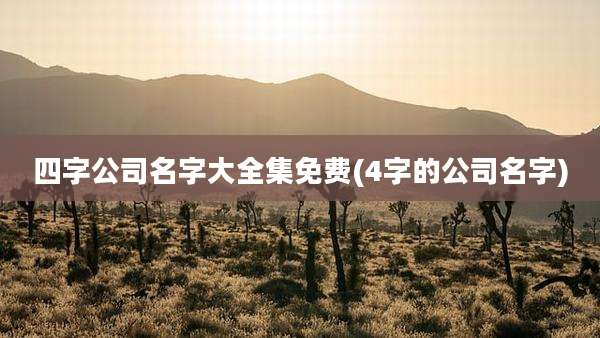 四字公司名字大全集免费(4字的公司名字)