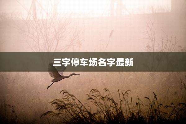 三字停车场名字最新