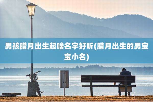 男孩腊月出生起啥名字好听(腊月出生的男宝宝小名)