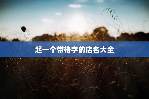 起一个带格字的店名大全