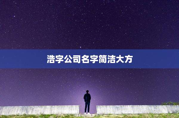 浩字公司名字简洁大方