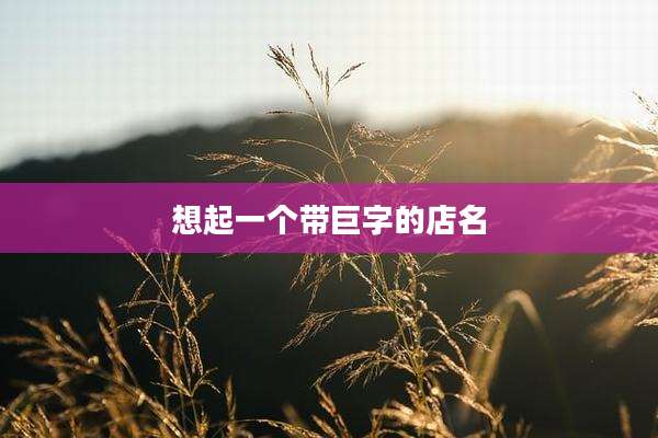 想起一个带巨字的店名
