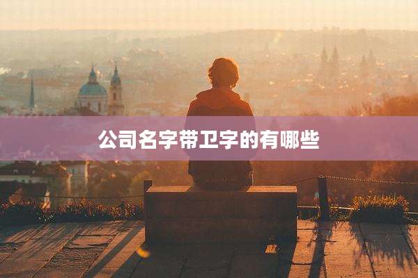 公司名字带卫字的有哪些