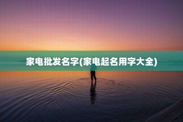 家电批发名字(家电起名用字大全)