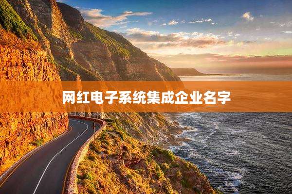 网红电子系统集成企业名字