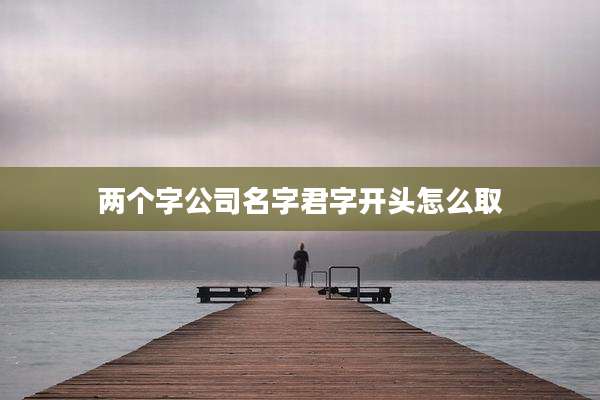 两个字公司名字君字开头怎么取