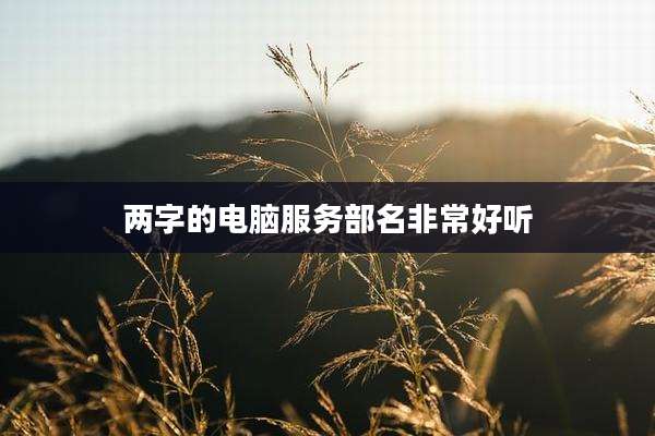 两字的电脑服务部名非常好听