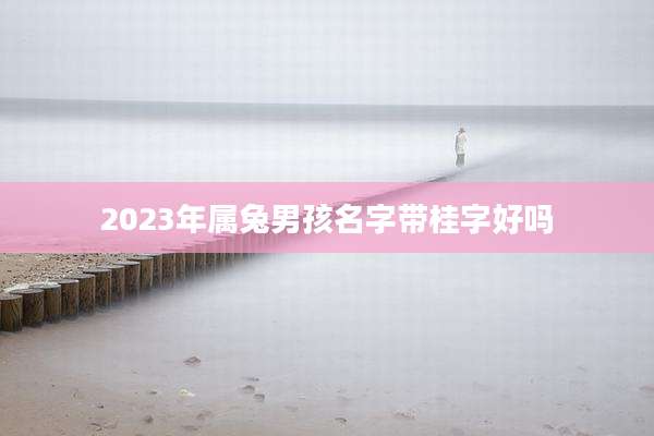 2023年属兔男孩名字带桂字好吗