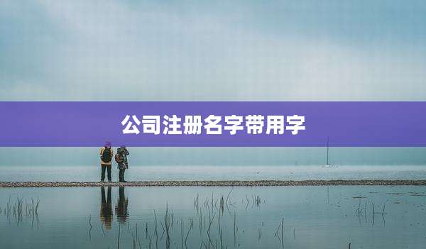 公司注册名字带用字