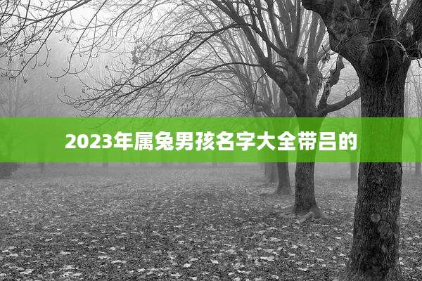 2023年属兔男孩名字大全带吕的