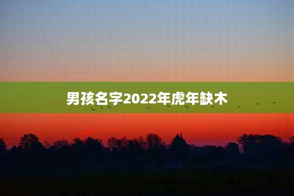 男孩名字2022年虎年缺木