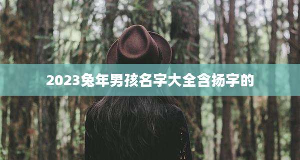 2023兔年男孩名字大全含扬字的