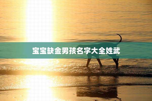 宝宝缺金男孩名字大全姓武