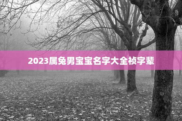 2023属兔男宝宝名字大全祯字辈