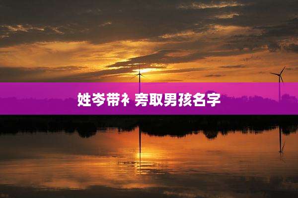 姓岑带衤旁取男孩名字