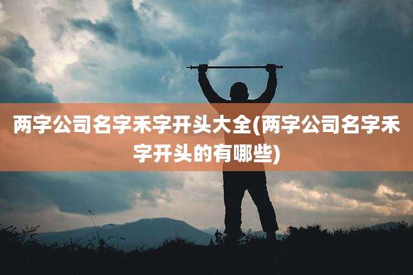 两字公司名字禾字开头大全(两字公司名字禾字开头的有哪些)
