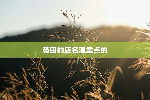 带田的店名温柔点的