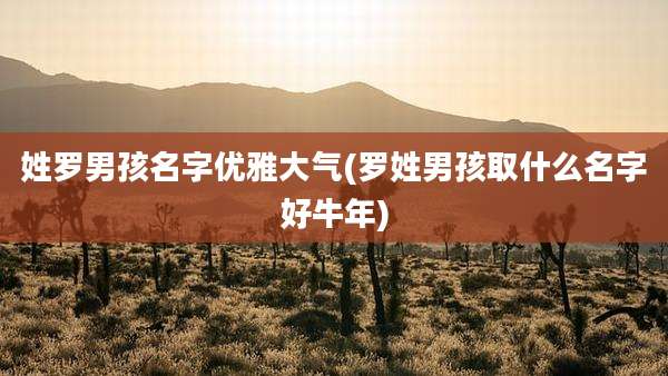姓罗男孩名字优雅大气(罗姓男孩取什么名字好牛年)