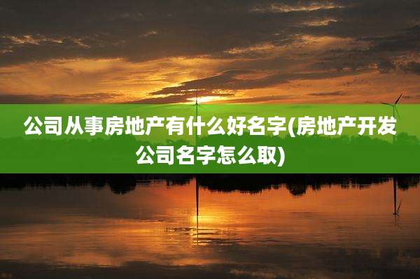 公司从事房地产有什么好名字(房地产开发公司名字怎么取)
