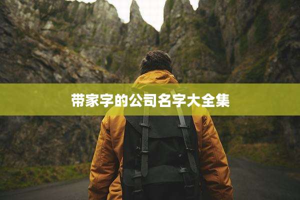 带家字的公司名字大全集