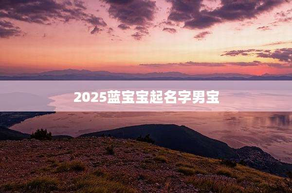 2025蓝宝宝起名字男宝