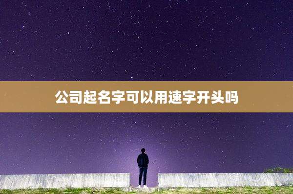 公司起名字可以用速字开头吗