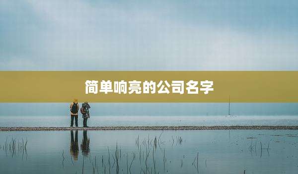 简单响亮的公司名字