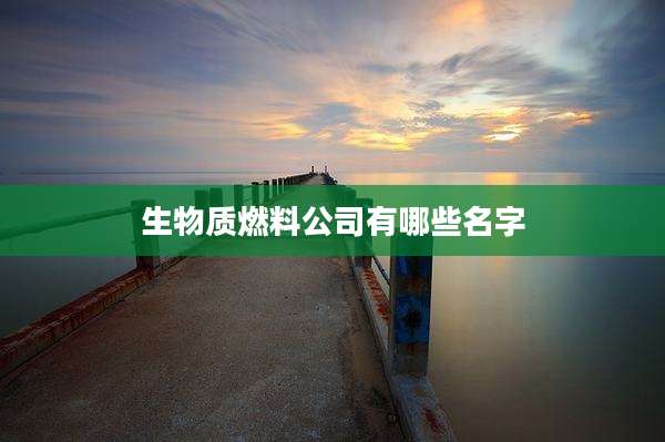 生物质燃料公司有哪些名字
